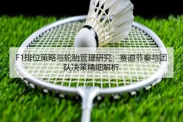 img_1780559868359_209_2_880.jpg